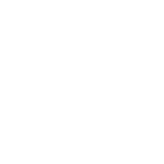 Exotic Finishess Brand Logo